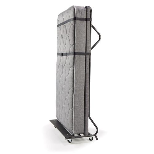 Hollywood Bed, EZ Sleeper Cama móvil con colchón de muelles de 8 pulgadas, 39W x 21H x 77.5L